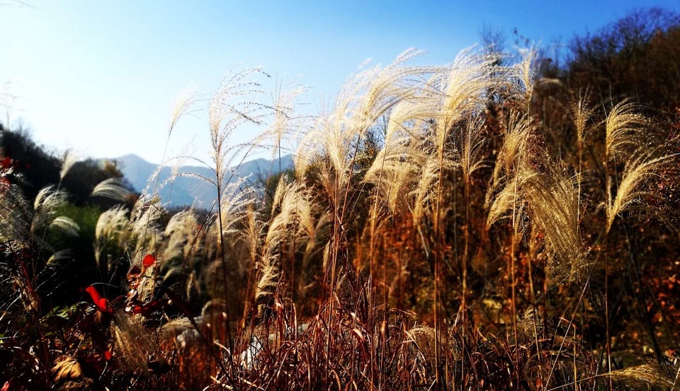 4eYIeuK2skYpzCErPieLIXZZ5G1FF2eORKaS9nNUPm3nXYYSHTsbrhYEU7Ua-879