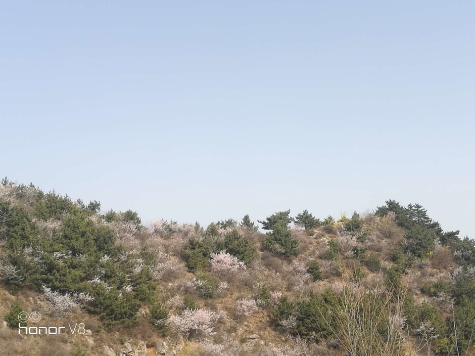 z4SqmTJiYTIgaYIhn-2FzCuOinyPtG1IWuKsCXxqgpjDYWidGcovqvsIkMY6FsWD