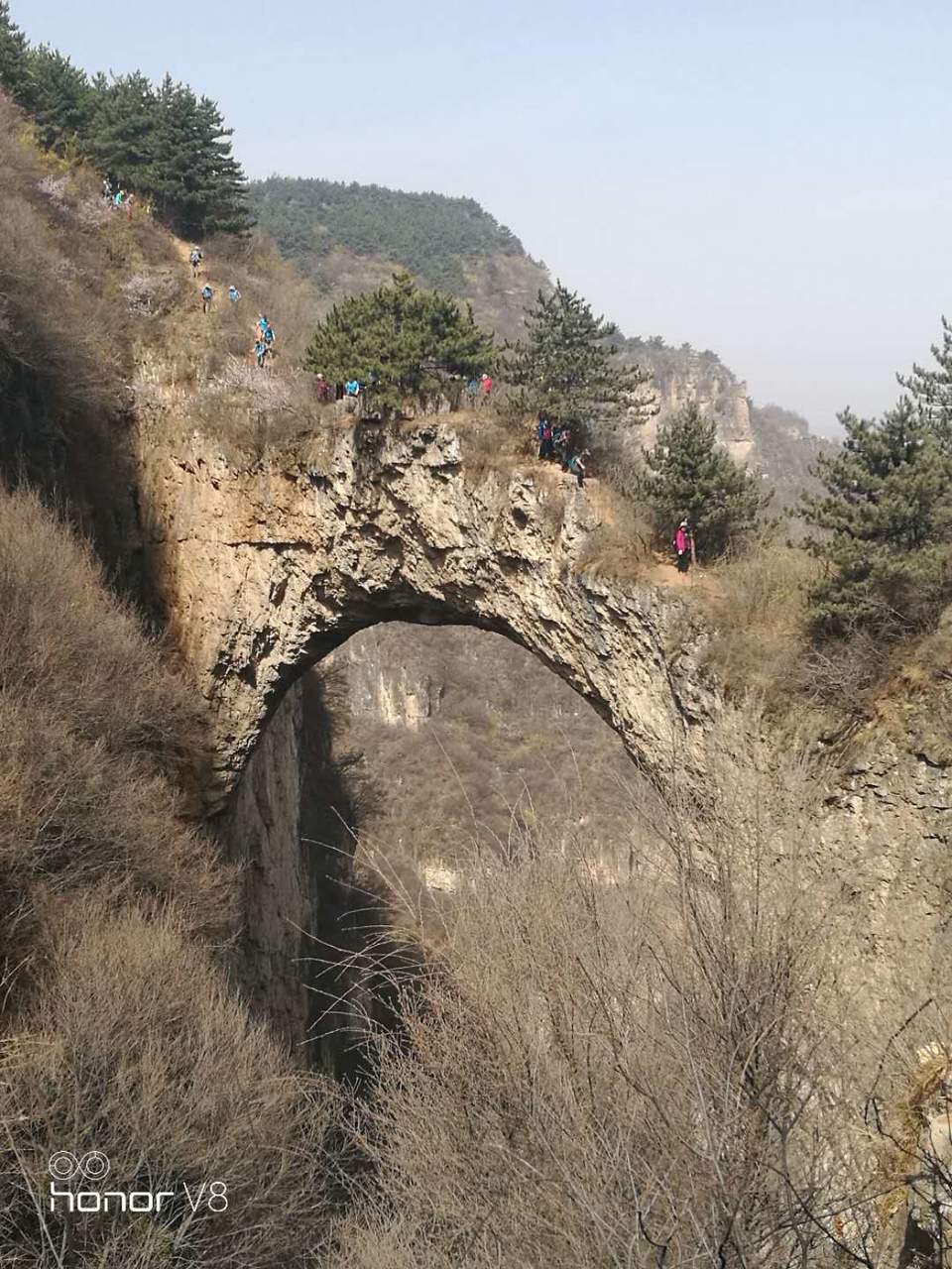 350-McsscsjeCAoaLMMOYfww6cS-h1T8QyD9VOEO4JxoNGGNlrhVr5_5I4s08t8g