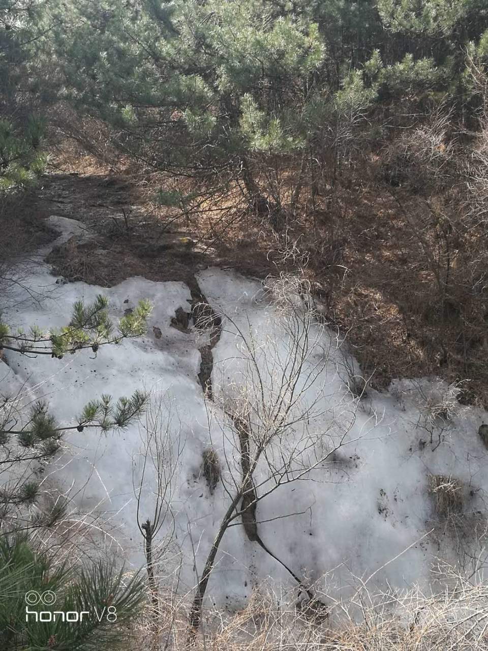 lUshLo2YIydzyol_GqHbbLPtf9DSXyK2myCUJvTqs1qMsRgOSxW6AKqmuU2ldTCm