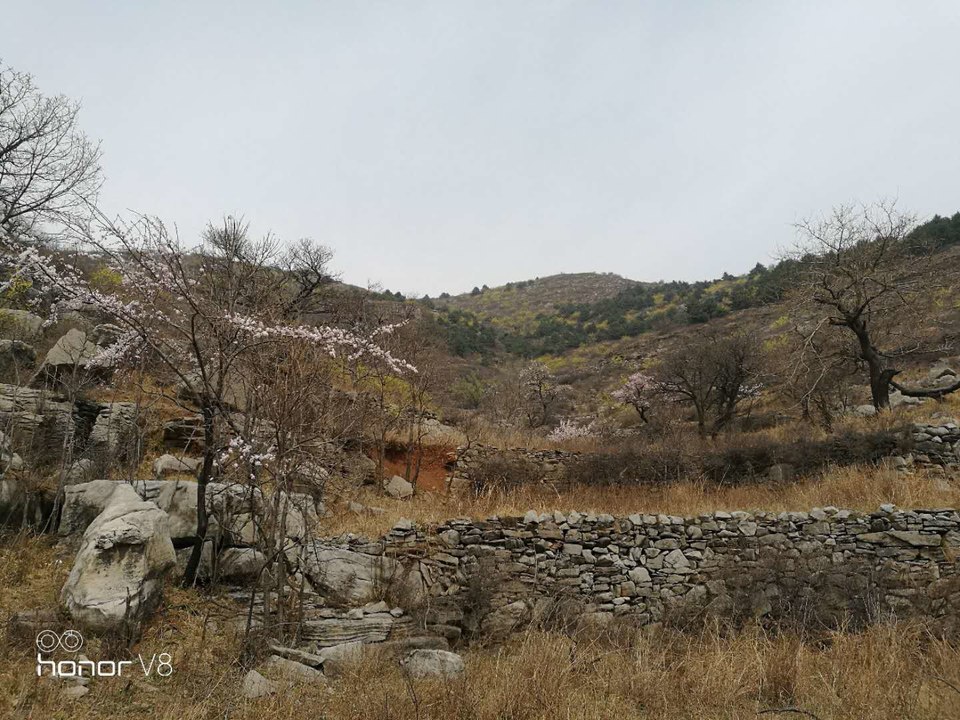 hz7d8QufK48z82Hdgq2GYQT8vvk9ZOCdZ50BU5MYcHxFz7pe4gE59yw2Cg-BtBen