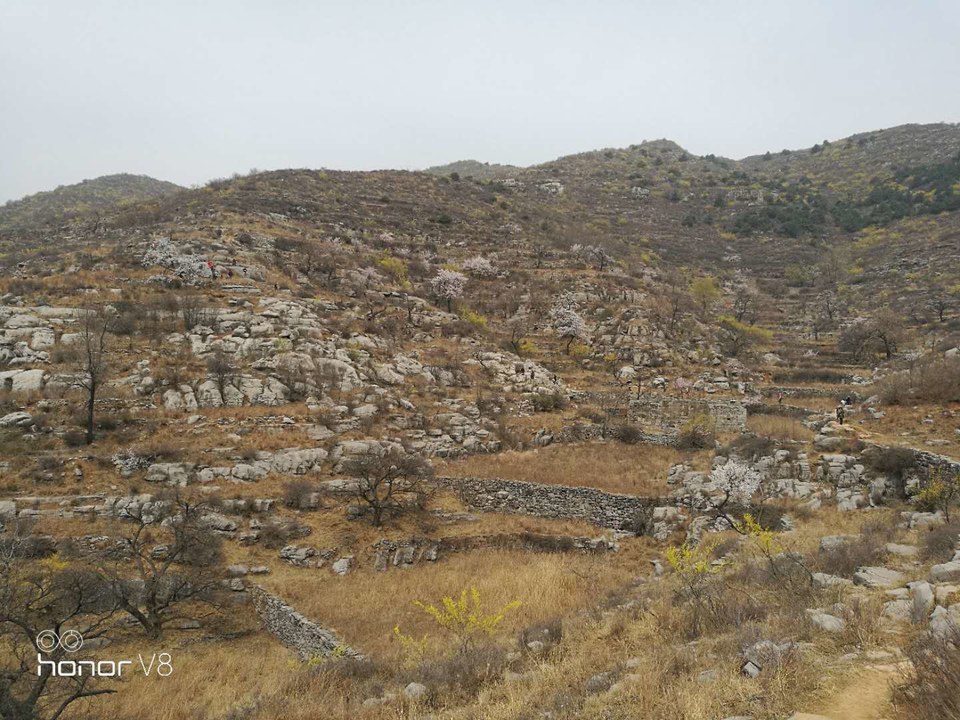 UEdMZFiNfi_L5NTVrx4e5T_OFLQYepAOhGg9c-p_1hLVTHVuTDX0FnCpwQkyQiW3