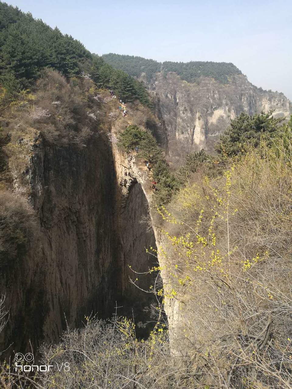 hd7JYM6-gA4tqurnBJg81xp0z0dgfdlpBZgEH3B0gGUTo-dXdJ1dyuWaKFN01Dgf