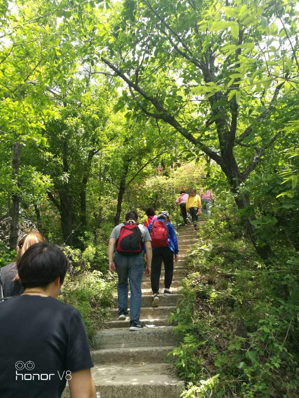 wvF5Qs7AKjIhqIsVA_9LYB3Pd5Hi__entQoCw-ACbAvWzMqu18zVif6LdUEI3PW8