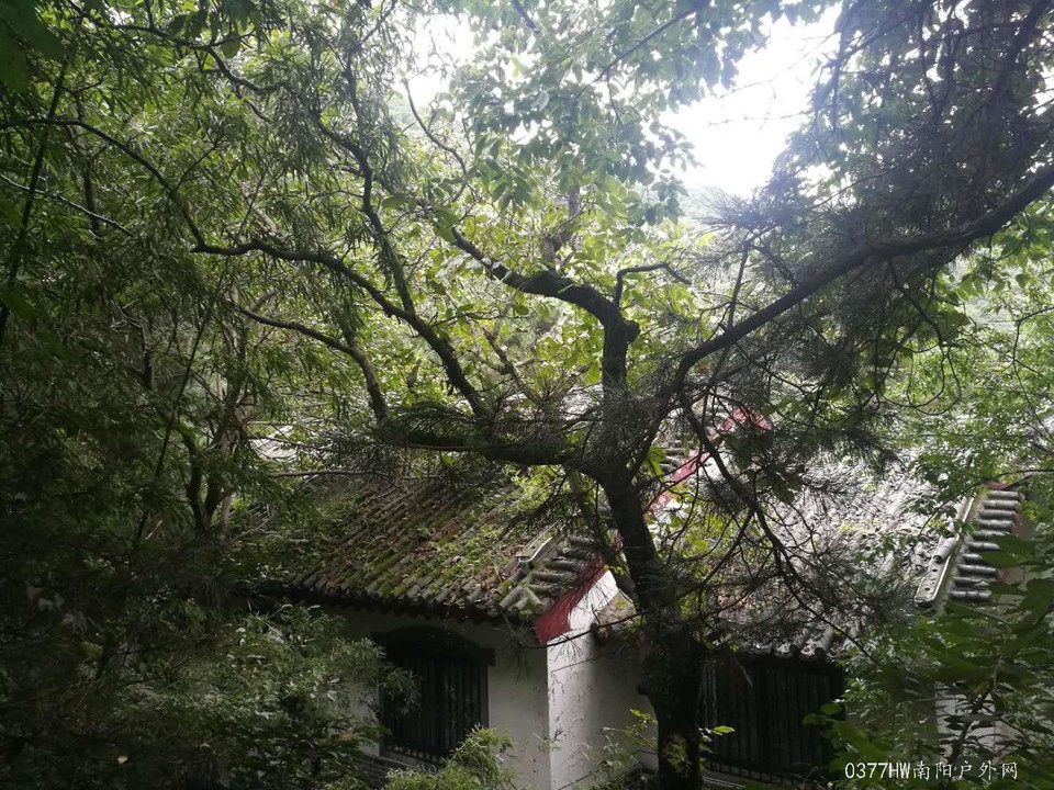 29jVYqvg-tQpiIbTAJIuSWBFaJNkspixG8WphtVSv0IJqIJ3-IMBkMN-aqZ2K7lg