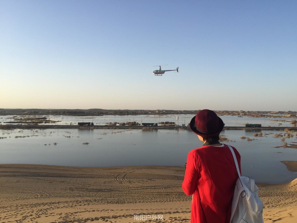 F66E74CE-D526-44D6-8AB5-92E9C32D902B