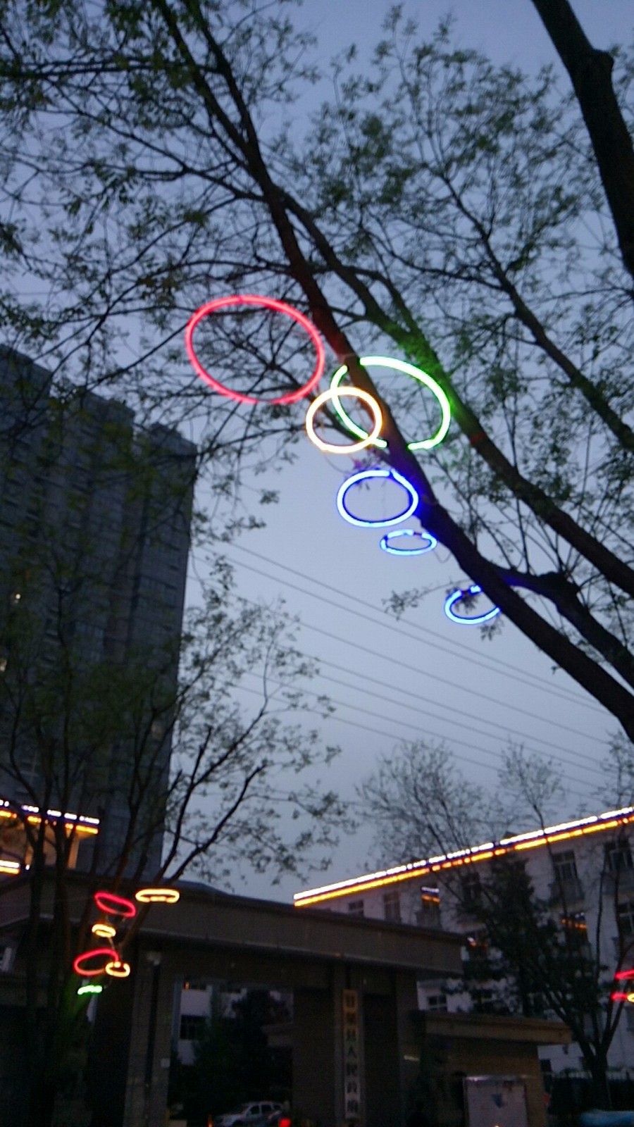 wx_camera_1525001682860