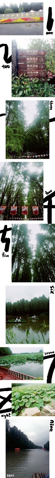 mmexport1506950056925