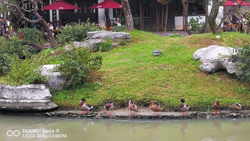 mmexport1507024711993