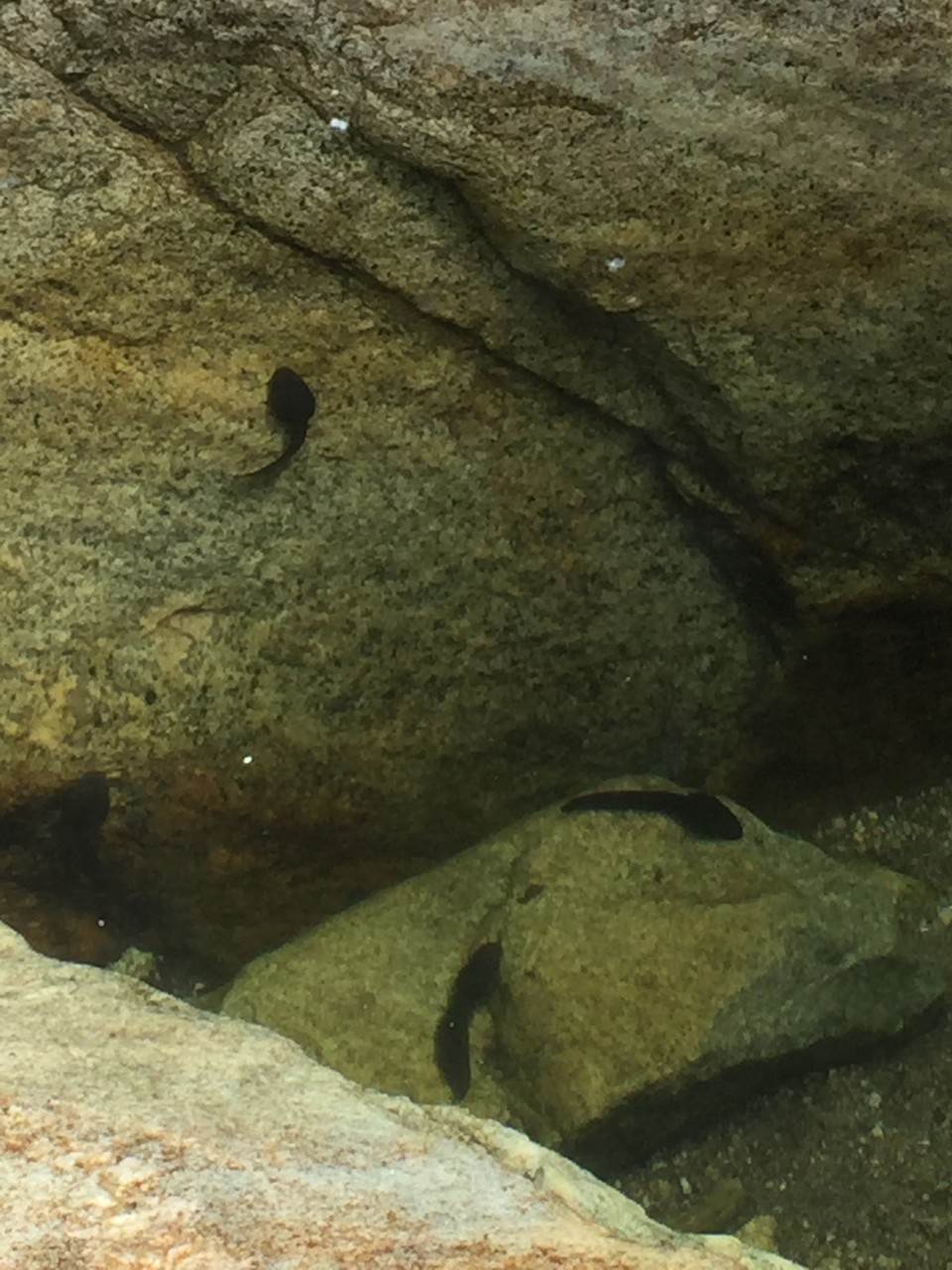 CCEB0B9E-7258-4D67-AEB3-7379E2F42F7F