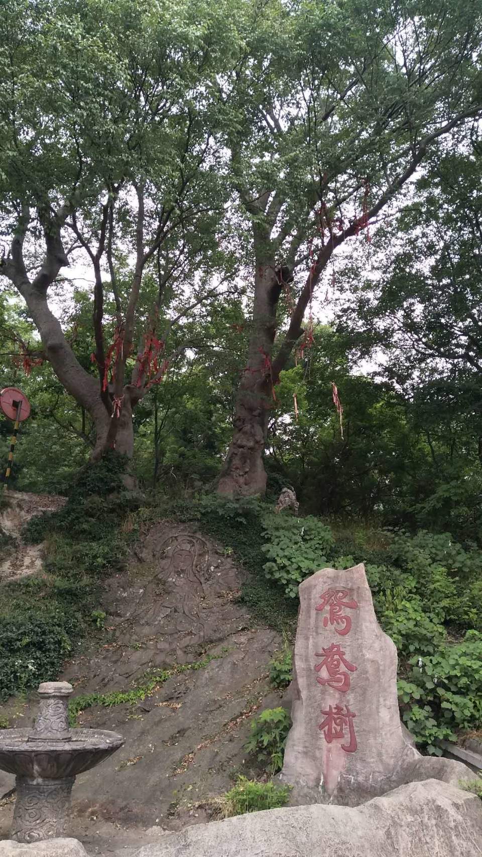 olCZP3nRNfh1qN2wu70SYylZtSWFMmWmXTyXFd-iKd0l2xq-0RVlgSoyeLtyS2S0