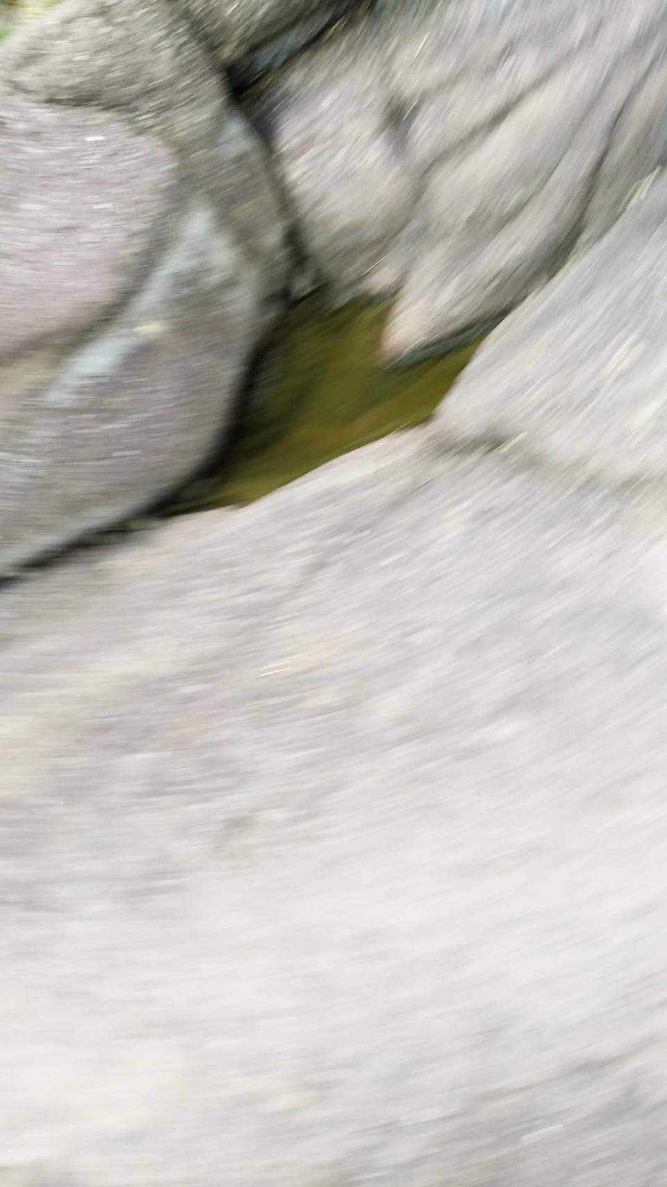 34cMIvJzB34RHelZmt_ieTe8qzy2PwN8pWkby1zOWo44KEPxW1miPLuKkEGtoumU