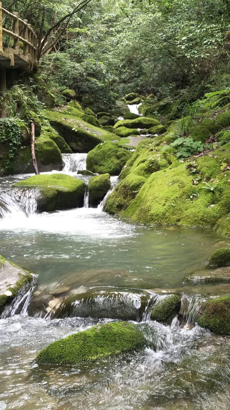 Rgr_affOx0sZoQko8r1wMxZ2bREbAgUg1tAEVUl9KEGPffy8GkjTjQS-PJFYa9uy