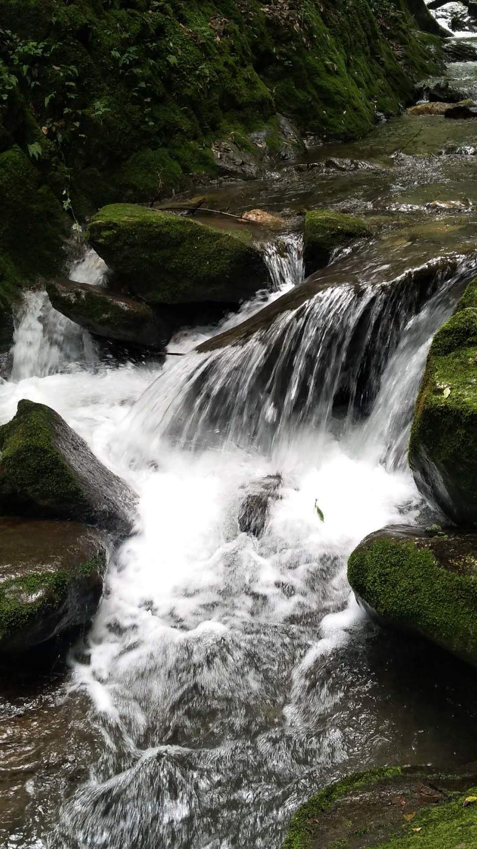 ZyQRST69rE3k2ZqOCiQVQwoxamNH8ZFdHLqazcUeghi0SMQwjlxZyEpI-vOtmvya