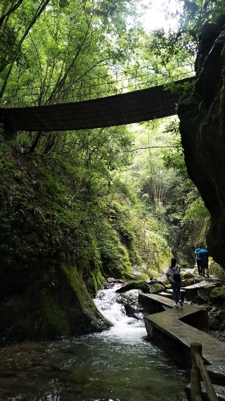 Ik577LbCNZEQH_FIrsO4fi1UL8Urn8fS5KvRcwtG2nO6lQ3X4_jFELN7RHTaYZV_