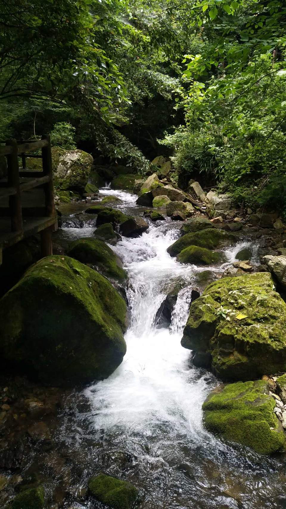 pADaggGDrv9VIlch9irLg8nfLuvMtc199HEyuTly9Iqk4gAffGYim4n7DFmgCF1K