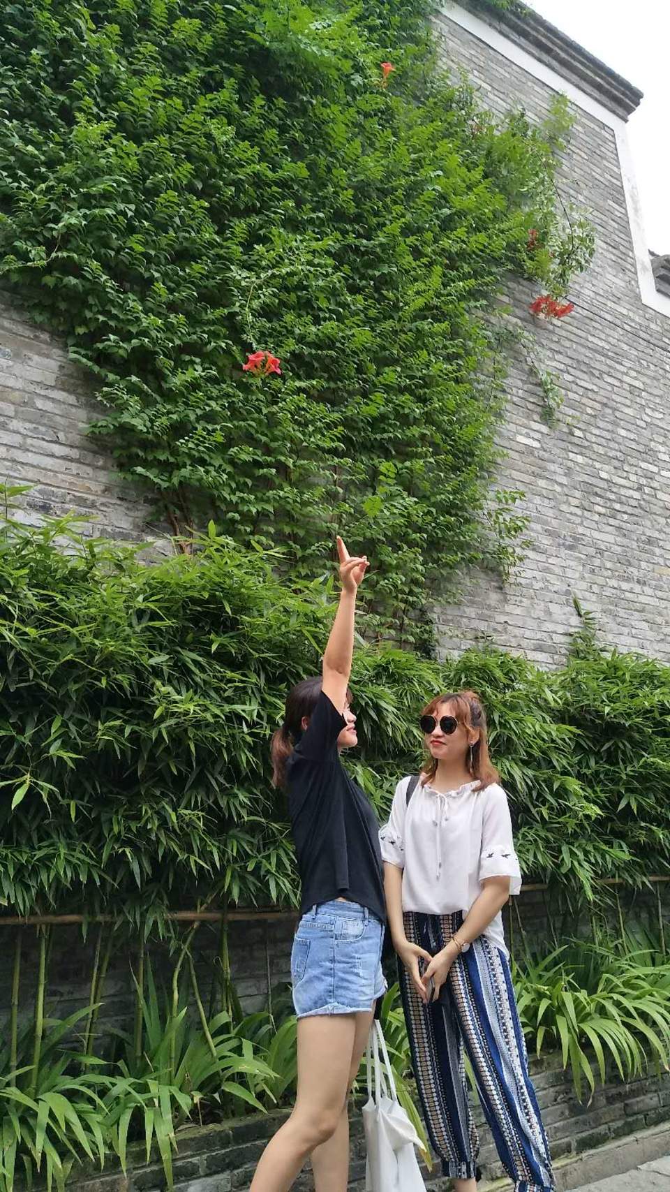 0nZ7t7oO7u-FC5yjUYZ9g-SMqd1bcMPx4xlFrnpwkbvfRW6UYSAhobkXBJppdpog