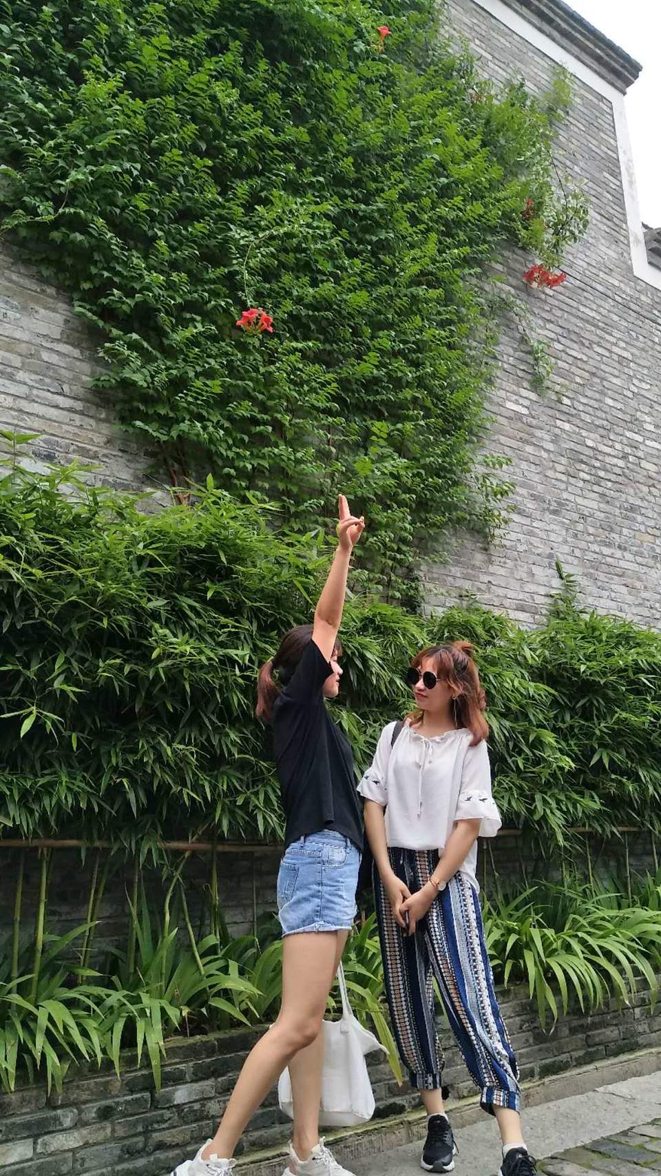 xK2x9GghBIal0iuanzWCtR4qbk2ZvTpV4z79krzW1HH3vqwUvecbzPdfNLcx7h10