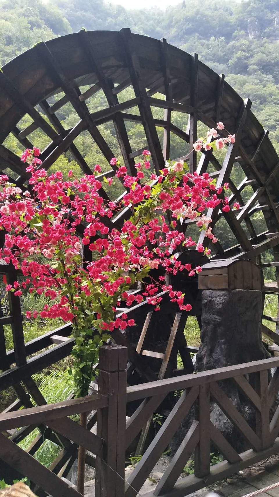 bd_q7Z3A1PguC_-5vZUnfqjAj7OlFl-Ho6BRuyuHcgQ6ZOdC67AOseMT3EU-Y7YA