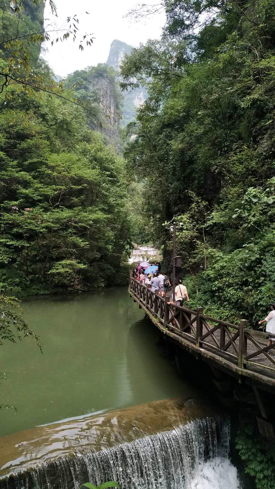 zEVWjHOfCjdn4ZqrPM_deOGp6kp-XdDu7L_8sE6Alfda8Us98vM7nfSvZT-KPUuv