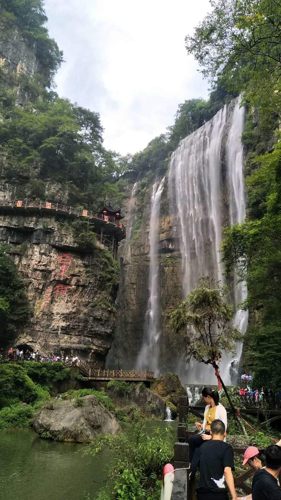 XCSile2jwUe6tHl-2eO0lHCAMYTMpY9xBc_YiE71FCkkEVnr0TYRiL600edkLN6Z