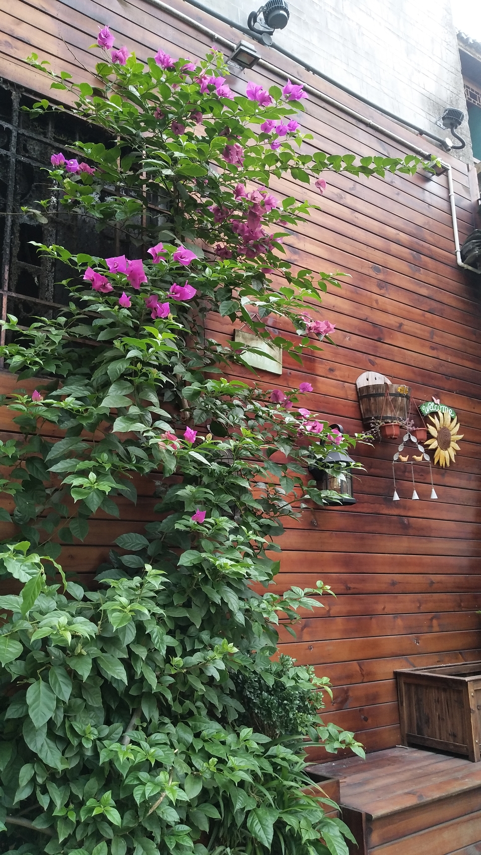 Fz3KiMtbKR5gbIDZr_lx28YYP79YAzFlzHddaJNbnIYditmM3x3Ia8lYGwZ2rCmh