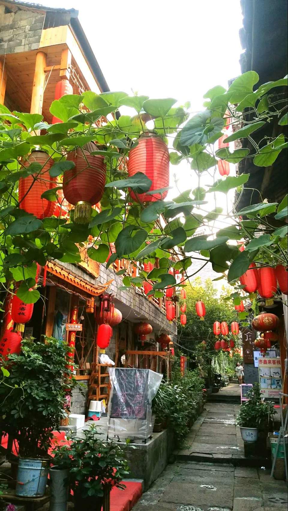 0SZCl7D7xTGPIzXZ7zGO8IuOCiSXbWeaLz6HHLmFjI8lMbVYw-6qv-NBrI5eT5_0