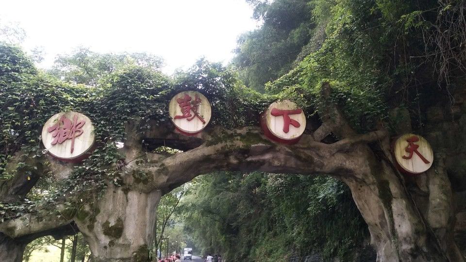 7P6ZOZYzaEyQ2oyclS_Y9jS4uYswXBC5DE-LxO7ahdDL21ONhrJDwIgvF_opElqA