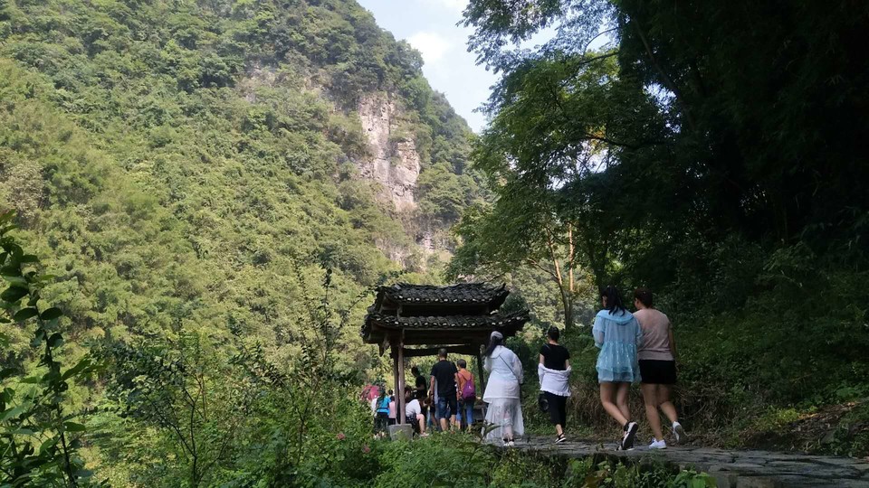 qZ60thBHvLE0XSBrl_XM-BuaQ_Mu01R0dX-g1ePkukVG1in-ph6uZZlv77LbtboU