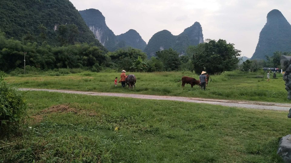 f5rR-AAU0Tz73kd2qe41Z6fQ56L1PhGVyJb4pmI-PvcygirxYyiKMp5og-KU9RPV