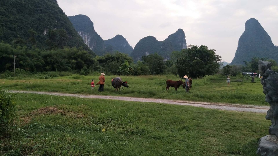 ze62l6yXzXcuoJFYIBETZIMGl214tvvGu8eUP9BKPnJl6BHktIXWNkaBQcMUHOga