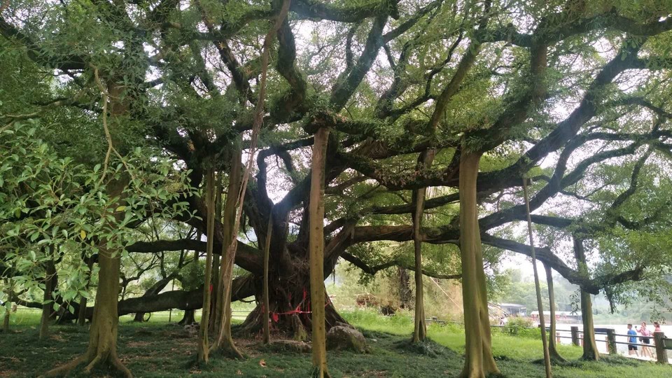 bphhNvbv5uWtq8X9YHoGjEzxP9Z6E7LA2ykC4bll_ld9Pr2B-jFI8XmQeJfaZ1E7