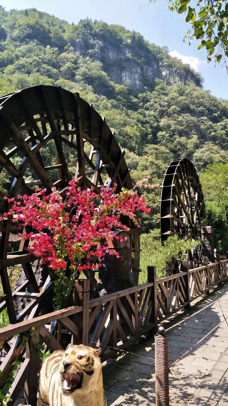 XtuRCn0pWhj7lte8Z6AVGVVVVWhWO5j2ilUjGKK609A9fRAdteJbWPP0zOttO4Kk