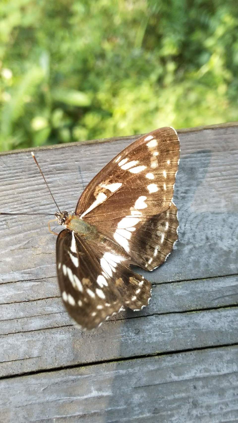 rfhd0usQd4reth11QTqNjhmbZpi-RDgHMiv2yXxxRIkiXZpPQsDlS2o7nCwvfB0j