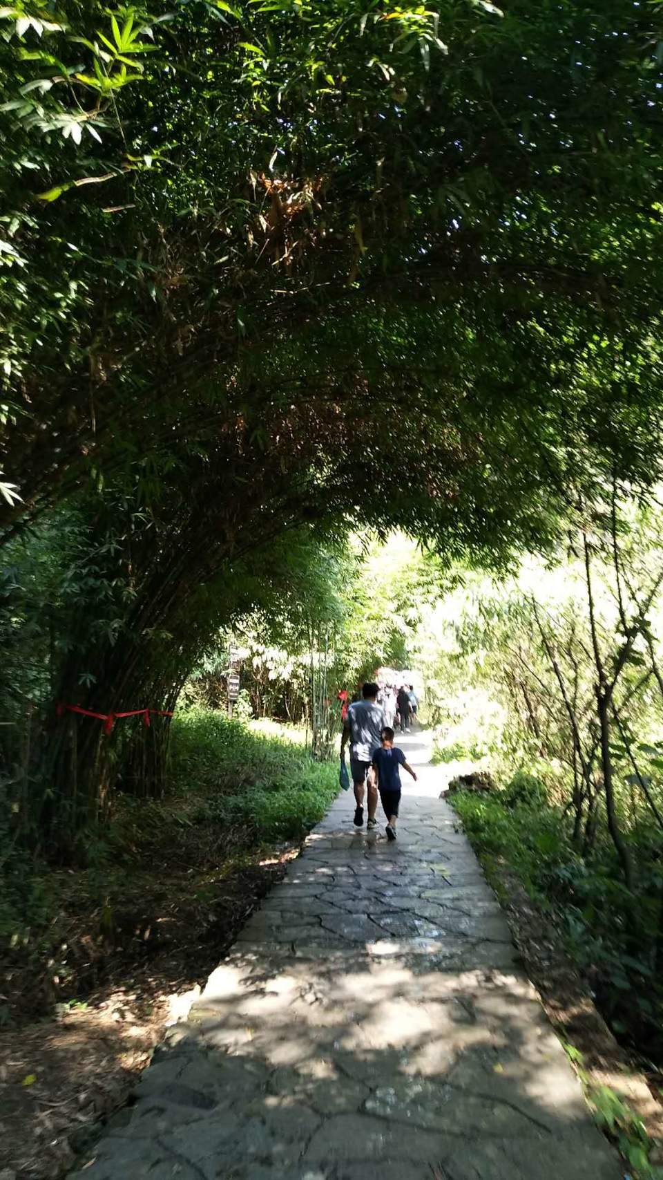 XK3SCAzebbQWis9lpMGKGiviA9TtZohnh7M5w_p7Qx_vKeT8v_SppEAlx7aTk9Nc