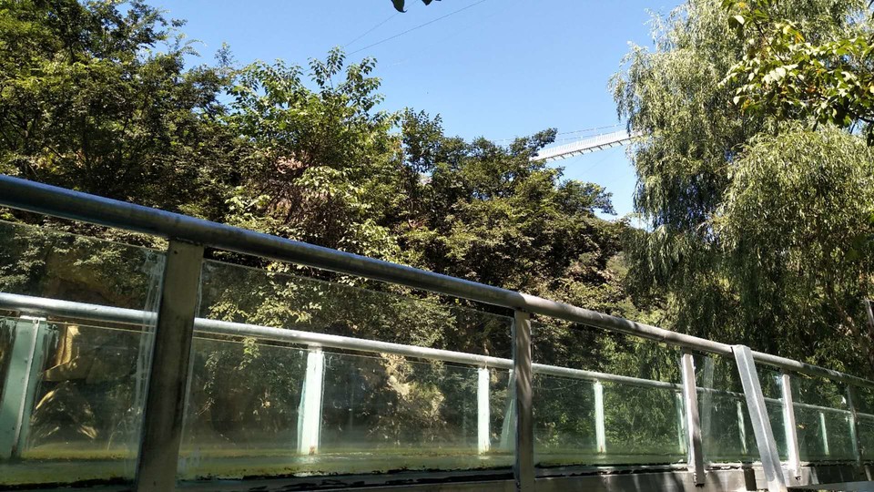 YROePYgLIGmZ_C4Vrr29oFHSZdzdwFeTPArLOKRi2eG63OKVUf7hm8LEQZpXSo65