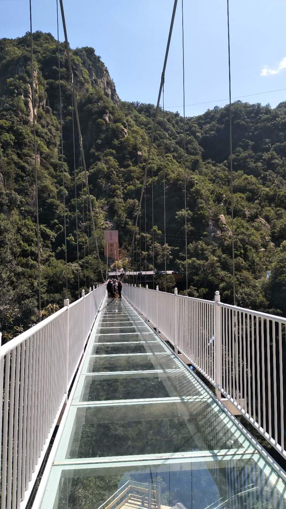 myDfyfyiCBvq5NCDbsNxOajTXujkYFb_Sg2fOMfKs8hN-nx4_lT4r8rYsesYSJFt