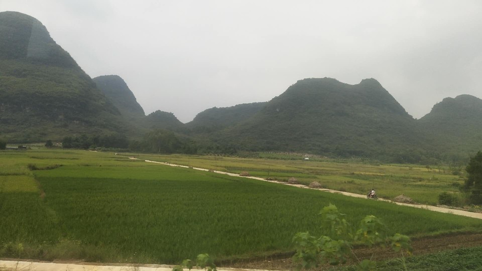 2MUnE1RV296XGXq-oYVi0jznm3Rm_wnxRNo5z3l8HX__9G8NDNhcW2TR-7H7_gGl