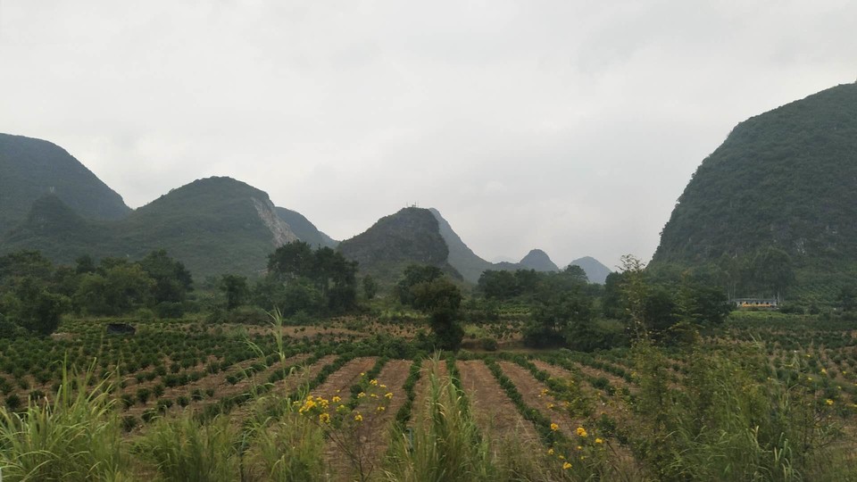 J9UTUPHj2kII_J45x1dgxwdBKnwtuW8b6qSHn45S_1WU-6h1ffviQD9ceSzVPvxV