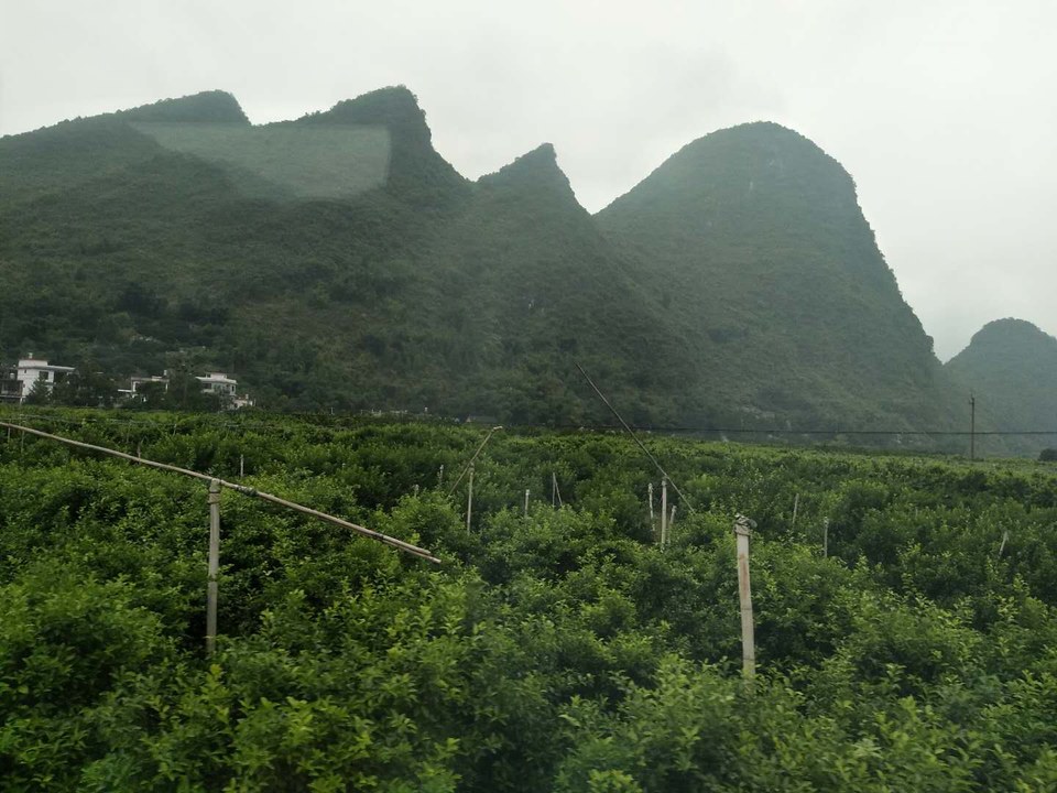 xBb04ALFgALDoyAQdEJWd8g9egZteVvF98Z-FixWmjU9fVEqRSe9_CbJmh-ETx4f