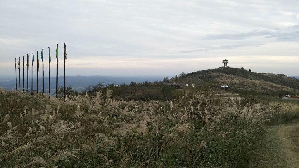 tk7J3NwHck1aC9W8ljZIHt-YrDkajTP7YeNEHpaAexnQT-5kDhaqWTUz02Yk3KY-