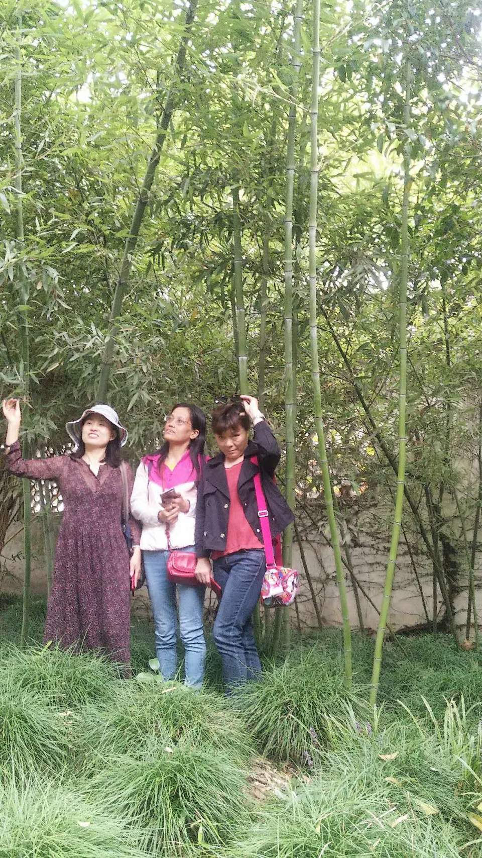 n62xpKwXobwLBFOhAqp4fYw2w2wHPn0P7jG6MBhYIKCAx4Ib8fIeO0MayjpcXdxW