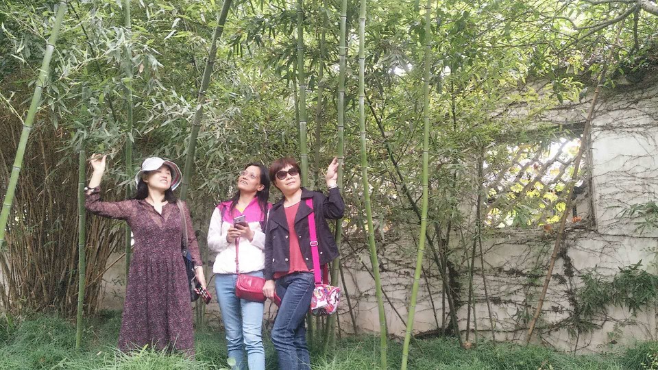 0Wcw_ixQLDWL1BEs6pRtoyox_8RVEE4ep3kB7-_96rHiLVffs4Np63negLs9yajI