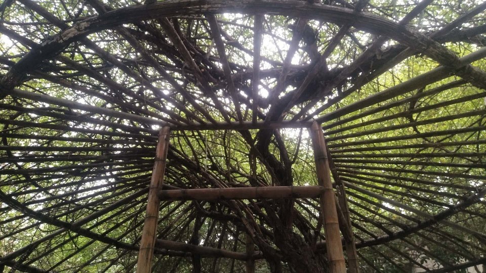 h154BQGbyTVMqNekT2GrW8yKXrkIO3PuYLUHFgbA6KkAc2lyHLqlqwExOfxRZbCH