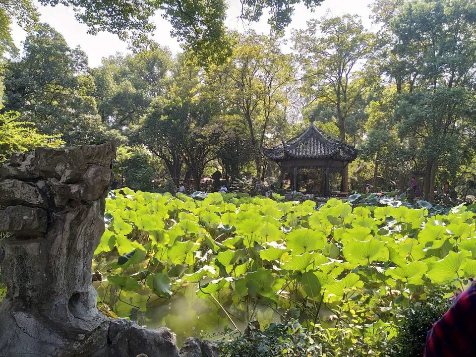 AD5q2wb2nOpSKSDyRypwY1PCloBPFuvpCmhRIbWXD6jltEonv0Ixwi__V7nPnDnD