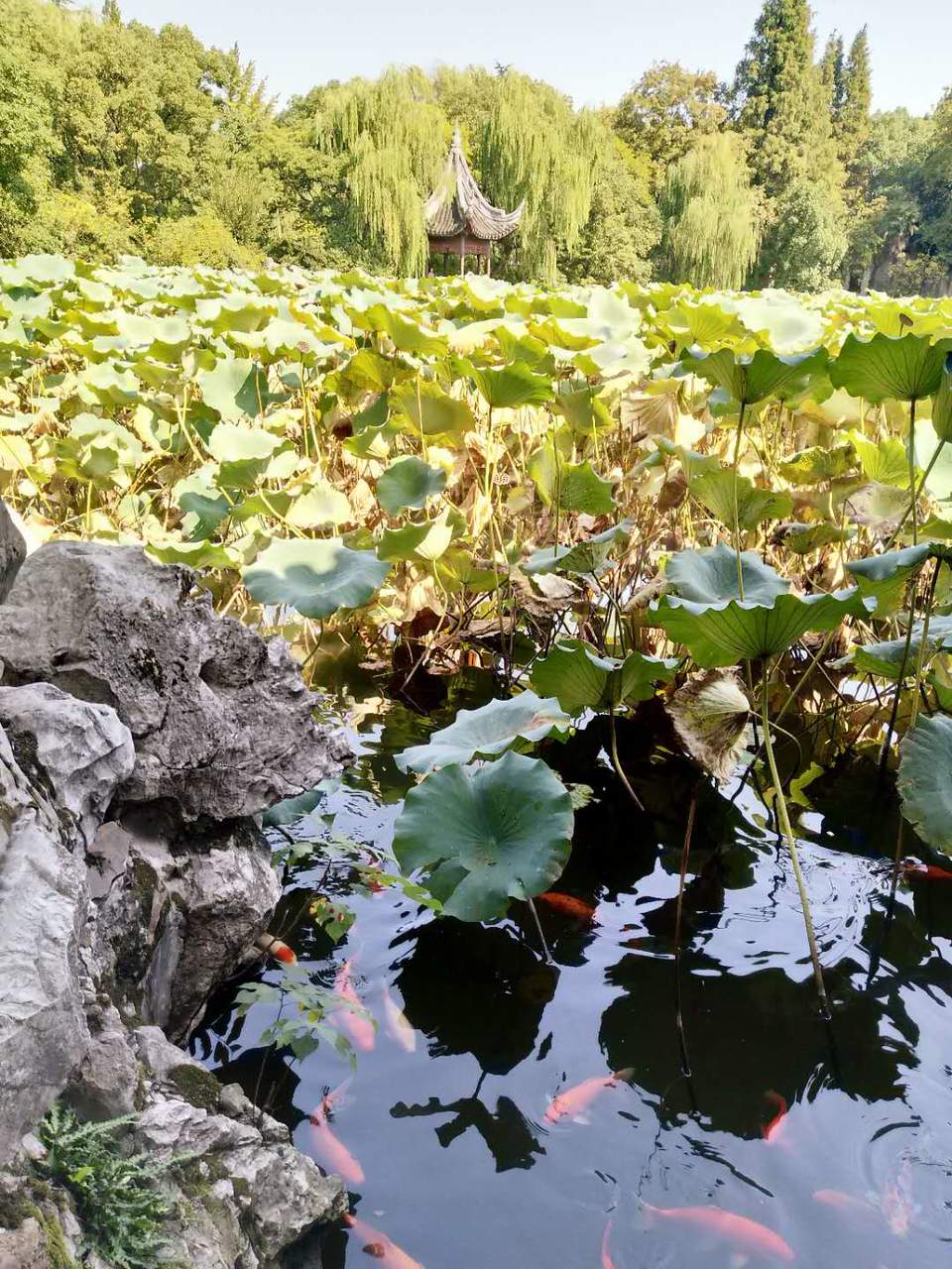 gfO-4fQOPzvK8Og50dhcH_s1SR_9U7ufP_TQb2cSox_KsryvBTdN6lnC4dZ1729q