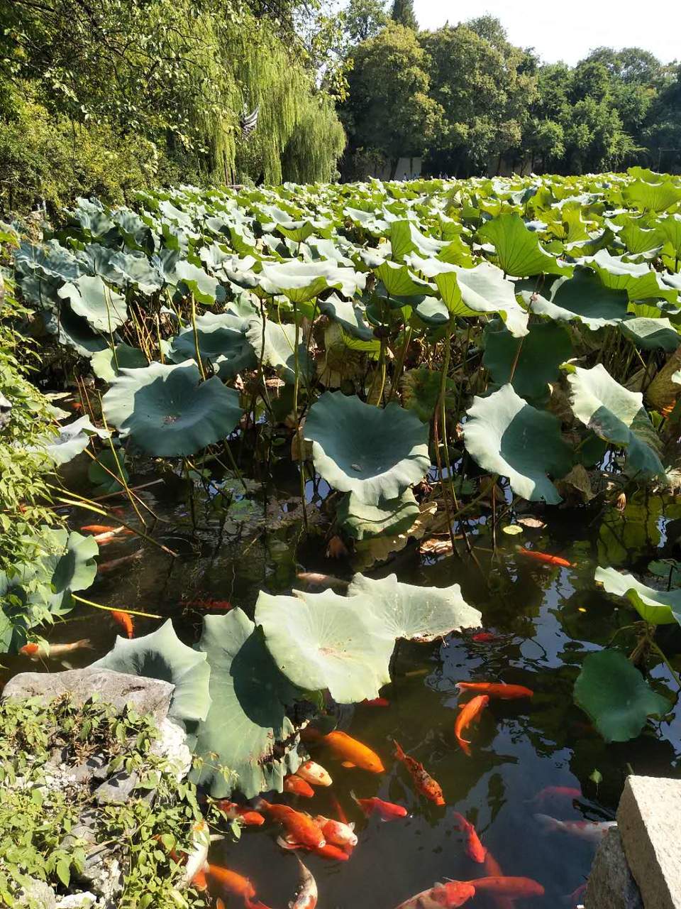 b1X-xdtE825qtz6SbprWamlIHyCjCyIU0_VeLnhPA2hXHDJUkRvUi7cEJpZhGxWo