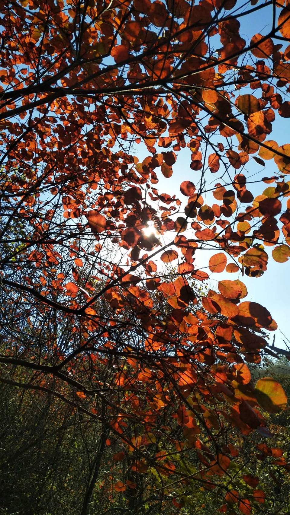 ylw8ndesgsicSWFe3i2M7mbhdnMw4oHfhHmi0gIr4qGz1Nna6ug_E-f1CGbpXlec