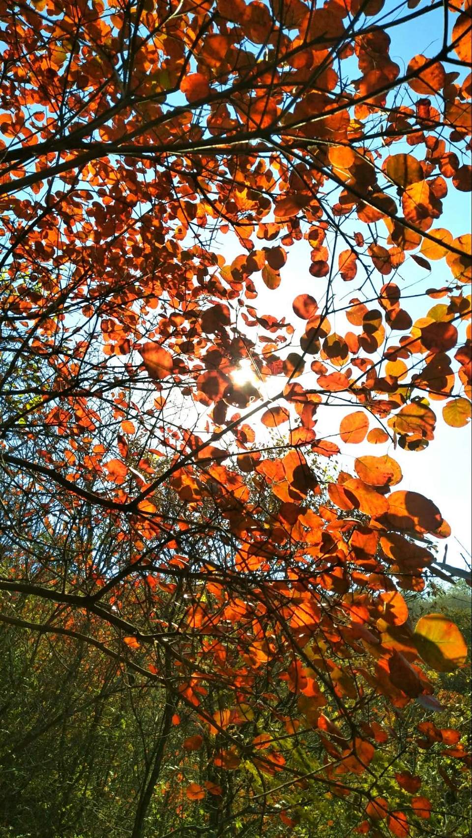 R_QnPts9YaEUIHrVICGwFehS9rpkZqF09XyORBNML6-dfpeCPX006ri4ER3NDDaf