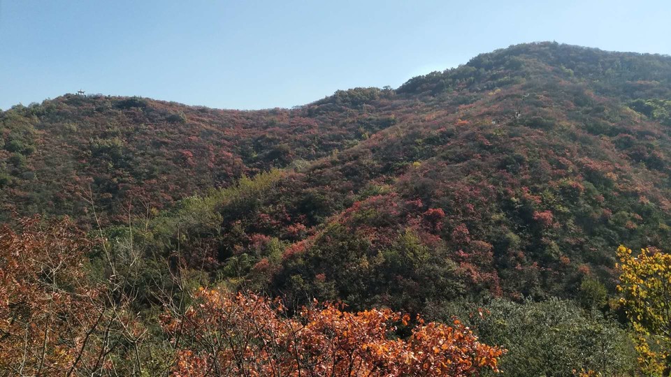 L6cXDeXr07PJAlasfLL0eX-v_XALgMMTNmQt3WiZfqut6HDeEF563fD_yHvOSJLy